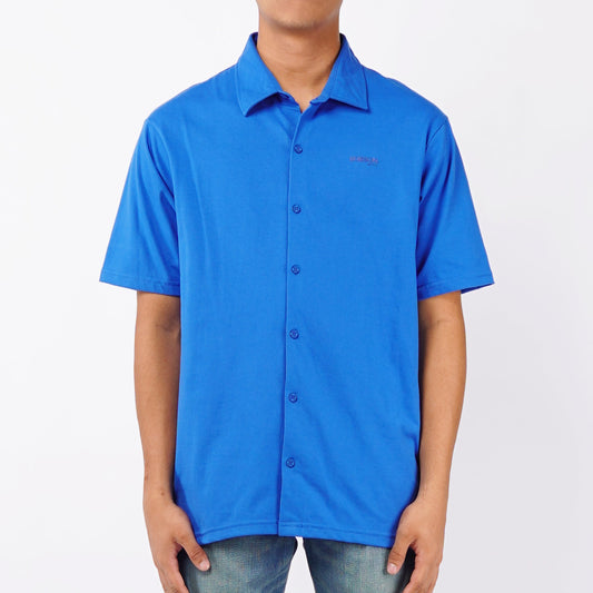 Bobson Japanese Men's Basic Woven Button Down Shirt Regular Fit 141981 (Princess Blue)